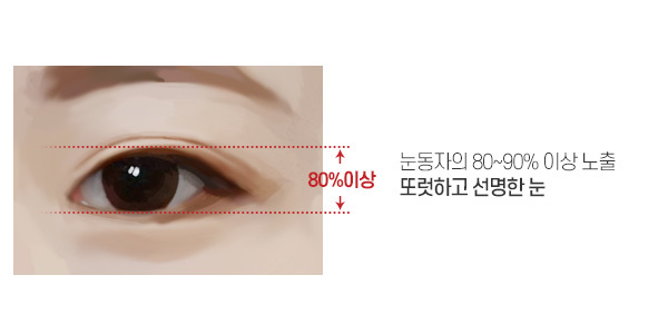 눈동자의 80~90% 이상 노출 또렷하고 선명한 눈
